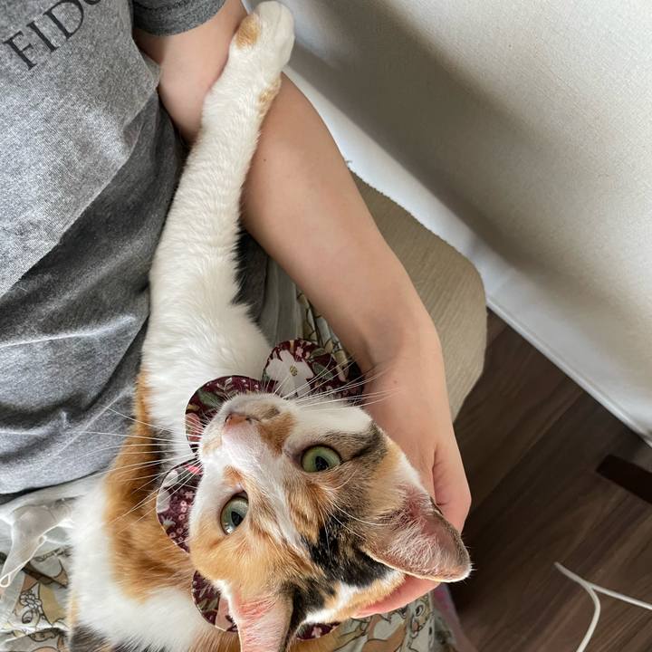 4bc8dfd8 ff97 49eb 83fe 50bfbbb310de 1750117109585