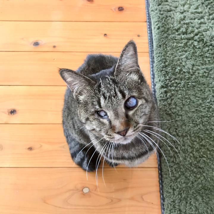 4bc90ebe 4bef 46b2 a500 e65710e239ed 1579306847626