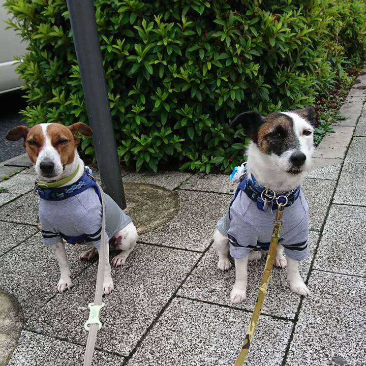 4bc91752 e4ca 4896 94dc 8915c172ac3c 1591049185152