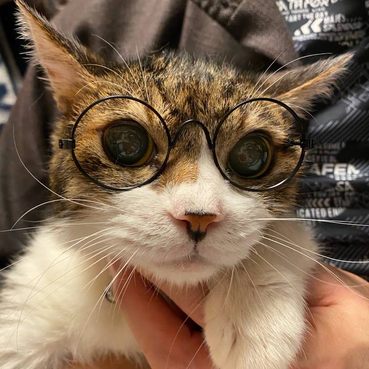 4bc91ffd 01f8 46da ad9c 1779f4c58cbe 1599052947510