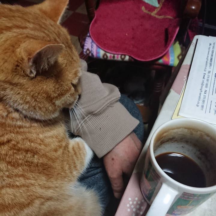 4bc92184 183d 456f a0e6 471c693b4739 1580850504109