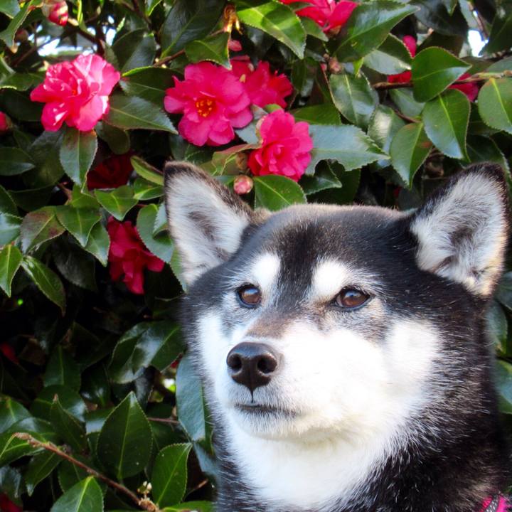 4bc97999 86f4 4379 aabe 226baf277452 1615432508494