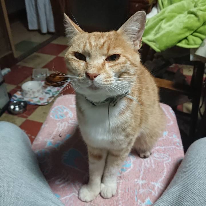 4bc9931b d681 48db b1cd be31d043a135 1590781838262