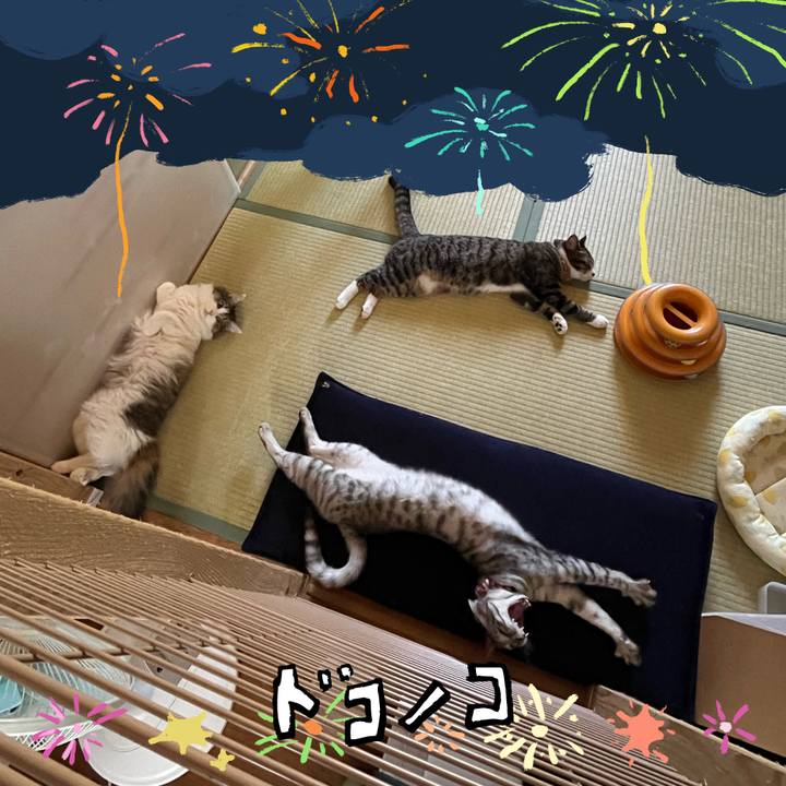 4bc9a17a 0343 4185 8879 69625f19cb1a 1723284533740