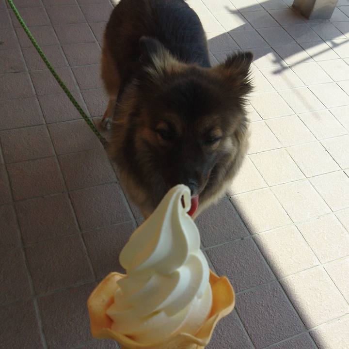 4bc9d52c 3a8d 4631 adf2 f6bfd1792b41 1773557433438