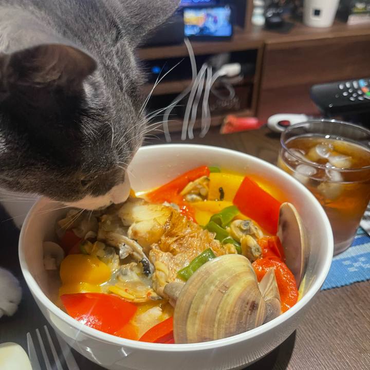 4bc9ea92 9d85 43f8 b5ad f4fef5c1b37d 1727604516718