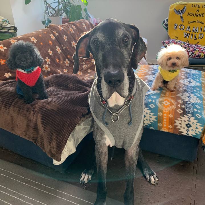 4bc9f4e7 c92c 49e1 a2d0 b89044273110 1608244484511