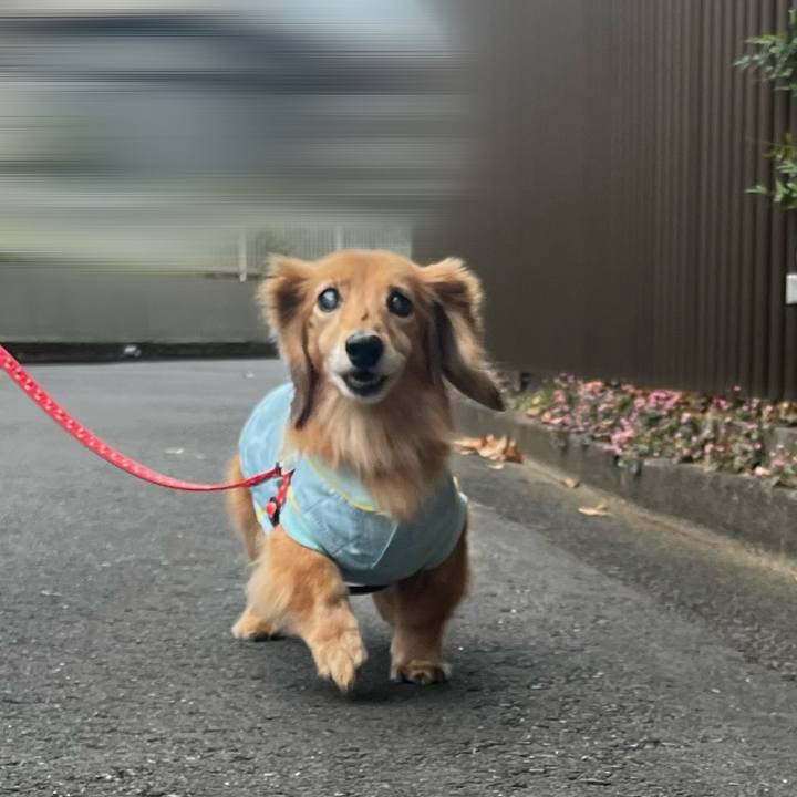 4bca2129 70eb 44d6 9713 c8a8c68fccac 1670151114061