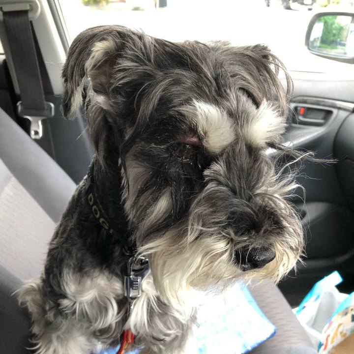 4bca2e54 260d 4f32 974b 83e38c681ff9 1684551512832