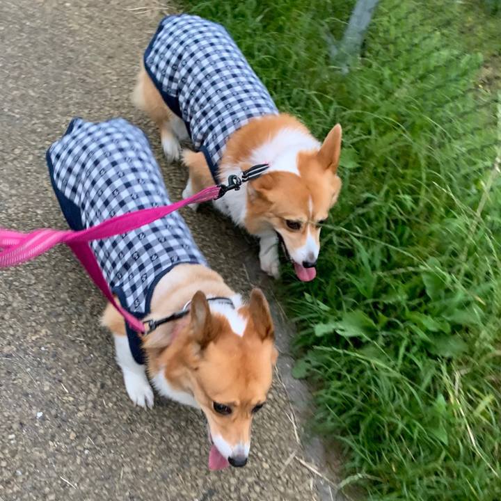 4bca4761 7220 417f 97a0 5735891b2175 1562758588617