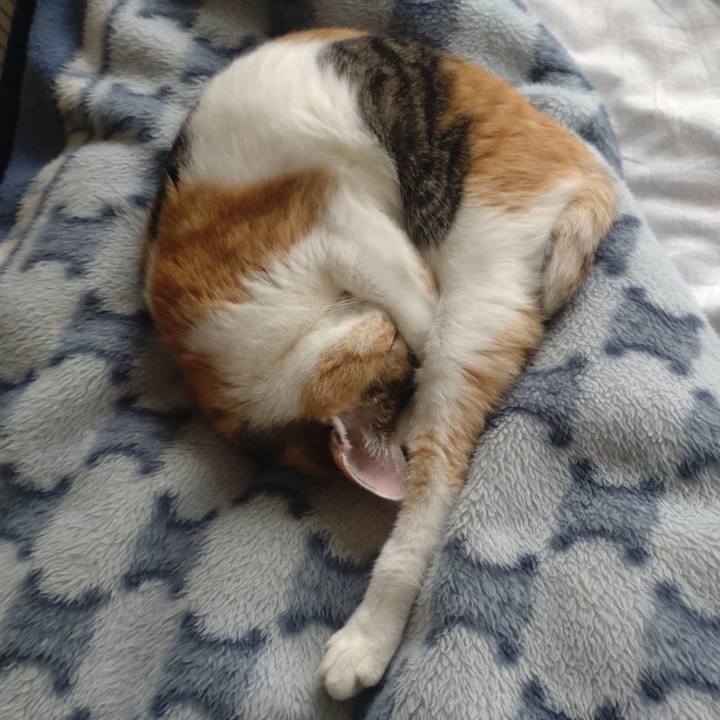 4bca4b54 b70a 4d94 9d64 86b9c8526b68 1726800059954