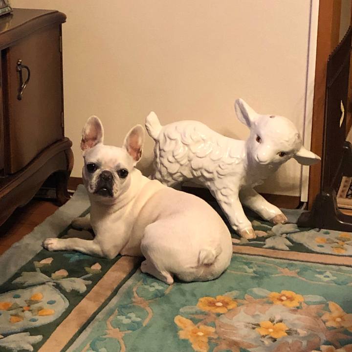 4bca57f5 929d 448d 8995 194d06fe2e1f 1542974969607