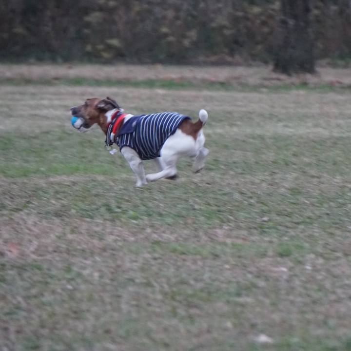 4bca5a10 9b8a 4c56 a81b e61c84add6be 1544654681086