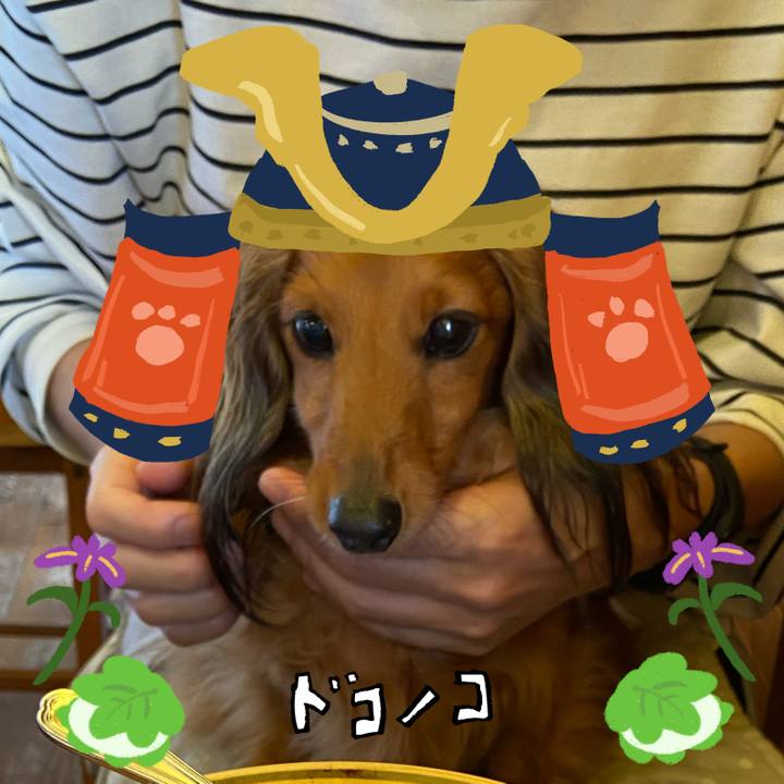 4bcab1e1 3f79 4700 9d7f adaec7c1c5f3 1715047467809