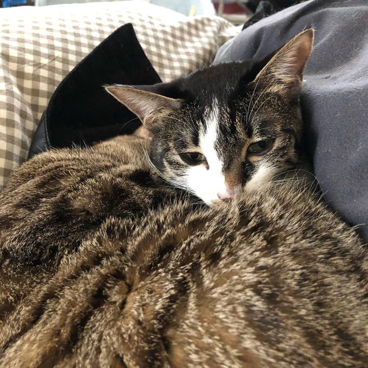 4bcaddac fd91 42c8 8b8e 4ca6dc43df3e 1519442023551