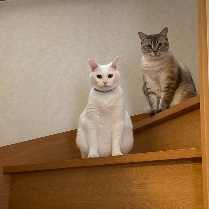 4bcb6def 0a31 4a95 9370 146727efcb33 1655807038258