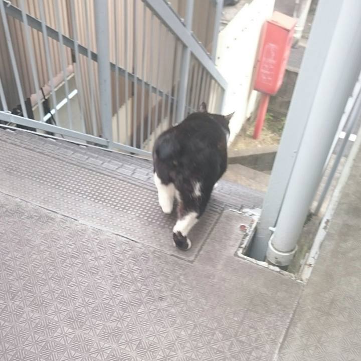 4bcb7b2e 6d03 4a4e b783 e7b82cf94c75 1515383138784