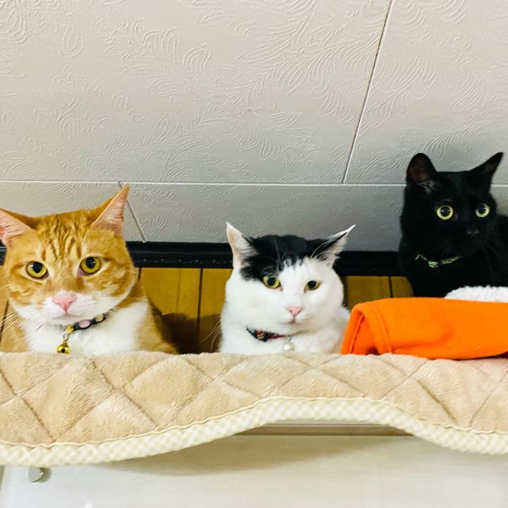 4bcb80a8 b8ec 410e 9064 8b06d9ba5014 1670070015662