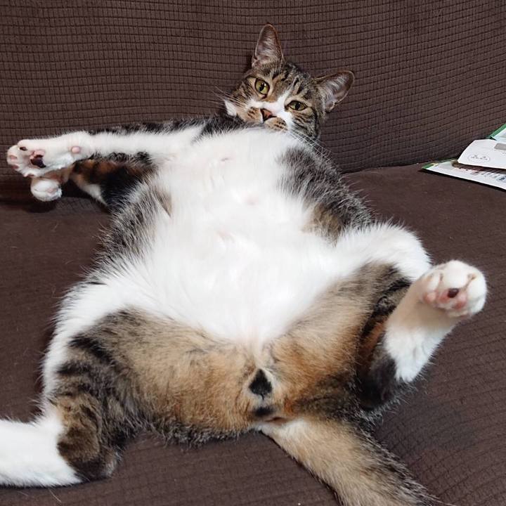 4bcb8672 e3cb 42c2 b646 bc672c9dbb98 1561650575286