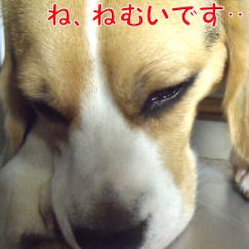 4bcb8c7d e4b8 42c1 9053 115b5583b797 1724802499874