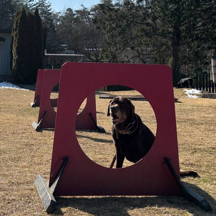 4bcbc57a 19e1 44db 8297 46da514a2d2a 1768881423970