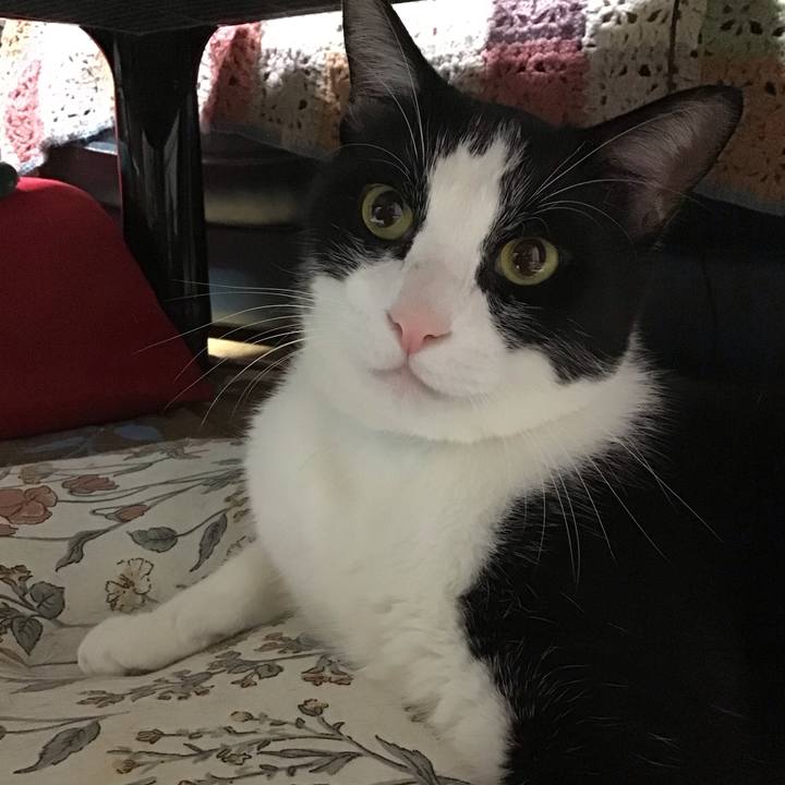 4bcbcdbc 3385 40db 9d62 877425924abd 1728820379469