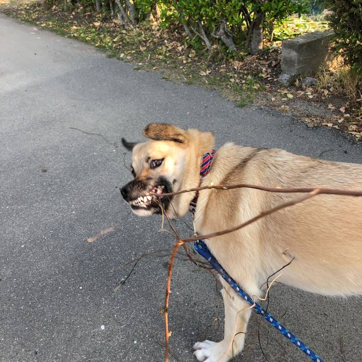 4bcc3ad3 c02c 4121 b2bc 04f296b518ad 1525175406246