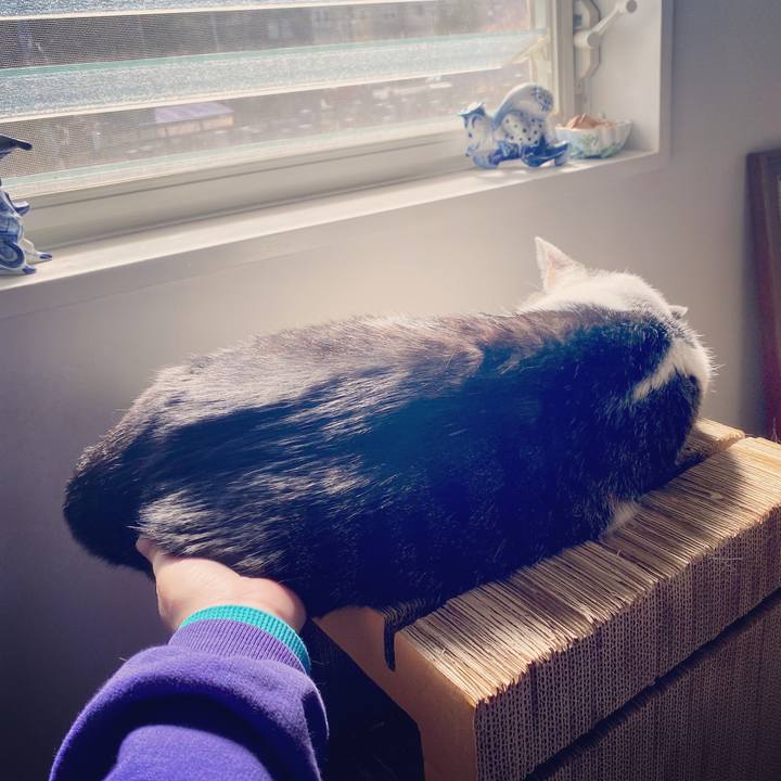 4bcc3e97 9e8c 4f50 a34b b03ba92650a7 1583035332579