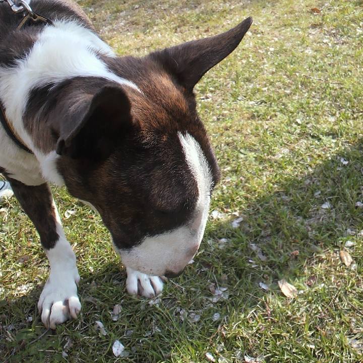 4bcc8b24 4ffa 4a53 8d23 bd87a26d5300 1587129149851