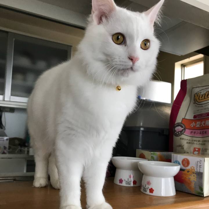 4bcc9991 0323 45f3 a7a6 1fb41a3dbb66 1519463238902