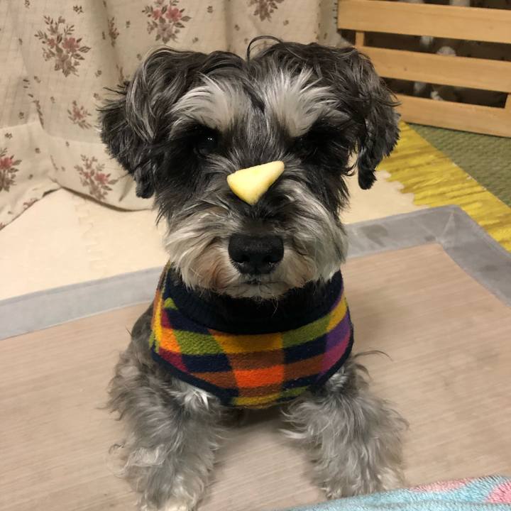 4bcca653 91bd 4069 9038 fe943ec76f67 1644066032928