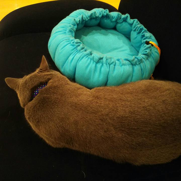 4bccb010 4341 4679 9ced a1dfefa3a03a 1511433362045