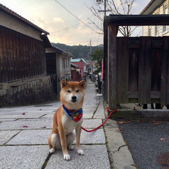 4bcce994 8a05 463c bdf5 42faf1394246 1512301407743