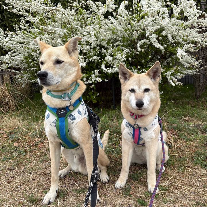 4bcd465a 7ac0 42c3 8416 9bee637df363 1773929934472