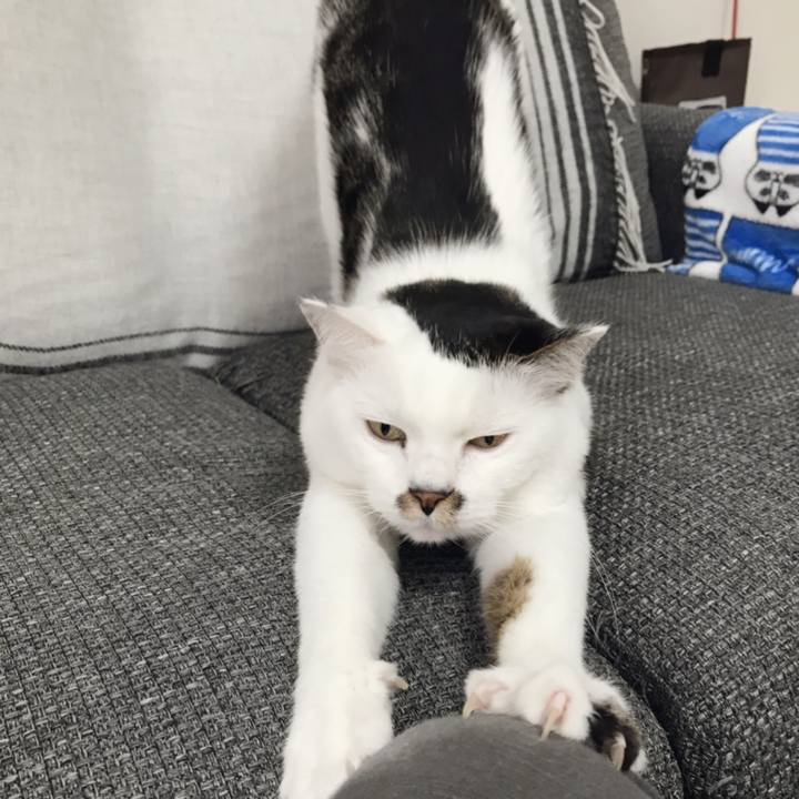 4bcd6831 75f8 4a28 8bcd 6a3aeee89661 1549252077524