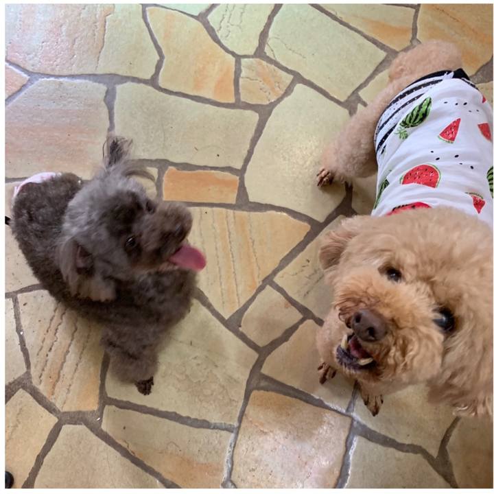 4bcd7f5e 7f4c 46df adbf 81feb23c7075 1563780711743