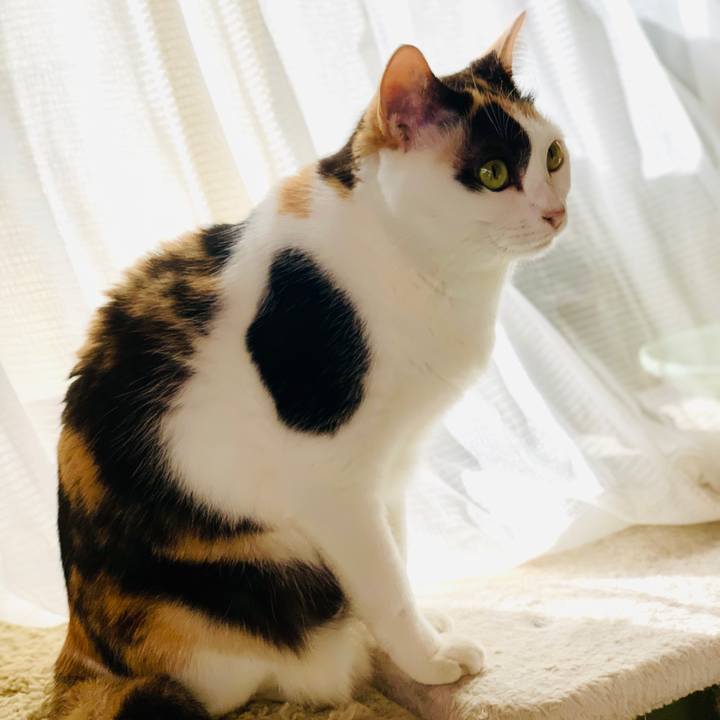 4bcd85dd 50bd 4718 8c74 65656c30f13a 1606011888734