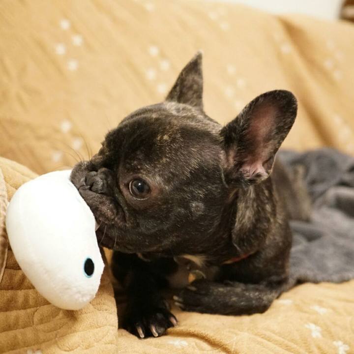 4bcd9ef0 ccf5 484e a3e7 e9dbac05aeb1 1513723047951