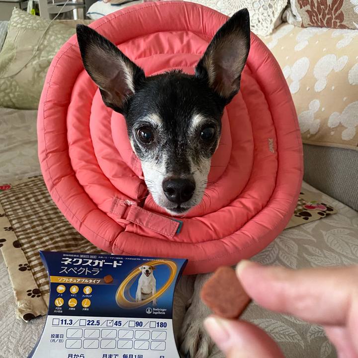 4bcdabfb c179 40f6 8f96 379db7ee1bf4 1631658914712