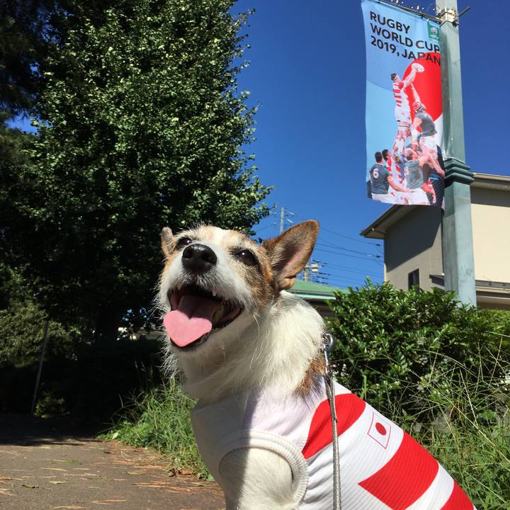 4bcdb0eb da9a 4e91 99f9 4e8137fb7796 1571547147123