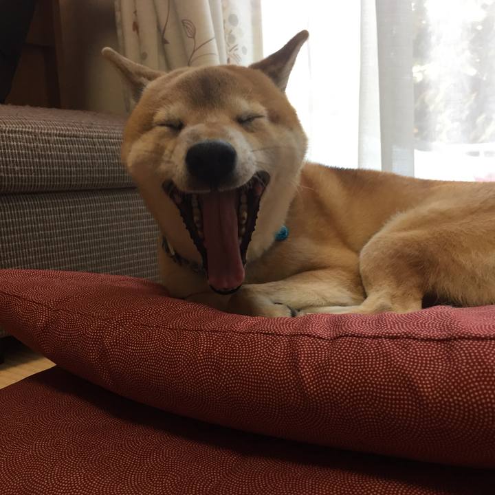 4bcde070 1d67 4a13 b783 f161519efc5e 1511064088463