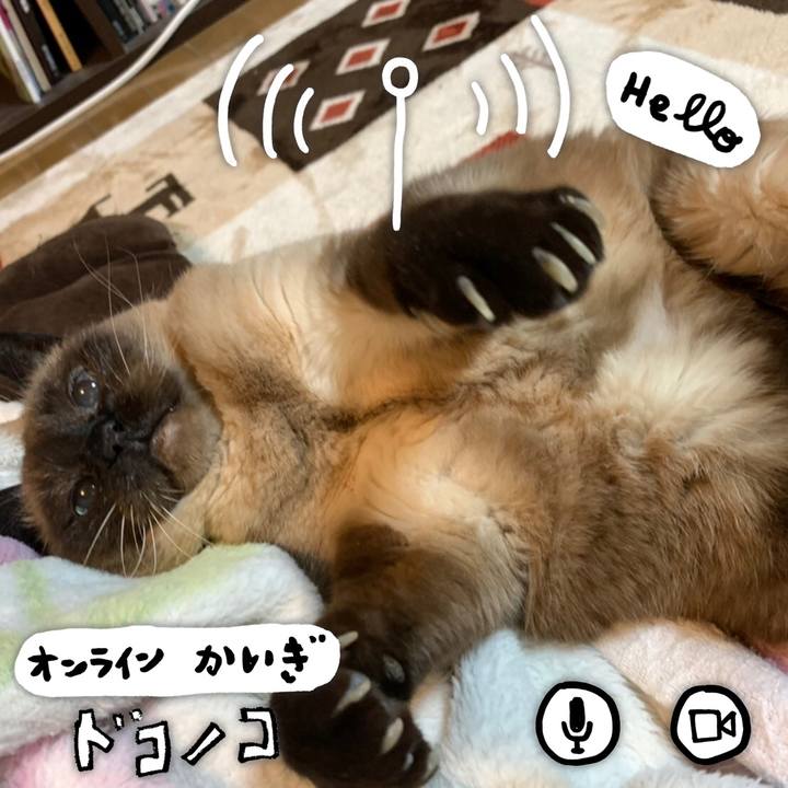 4bce15bf 3662 486c 8654 83cf945ca97e 1590675967098