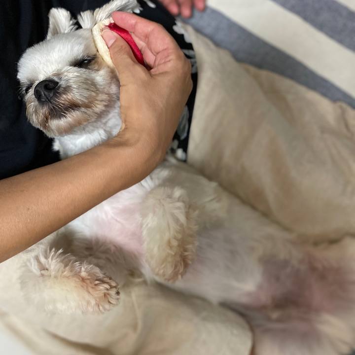 4bce79ec 872e 4dd1 9029 fc714a9dbd1e 1596720100896