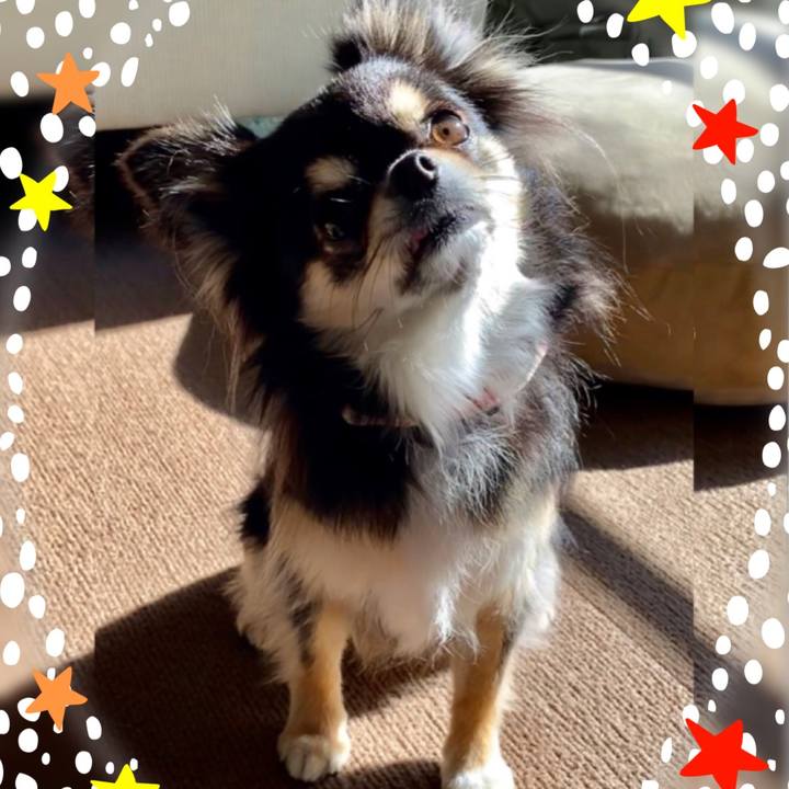 4bce95c8 a55e 4946 a9ea 04b0c7a9011f 1609324949648