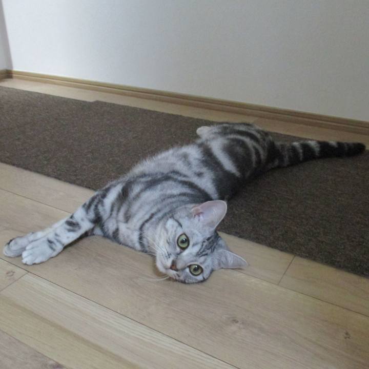 4bcede16 e4c0 413b a720 be20941bd6f8 1557103558267