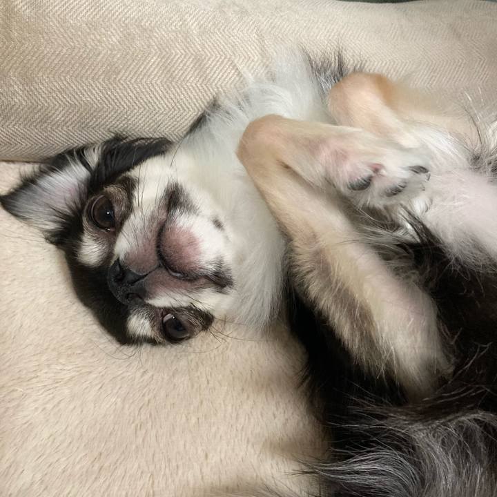 4bcf2aae fc0d 48b1 aac7 16dac548f1ab 1625408347150