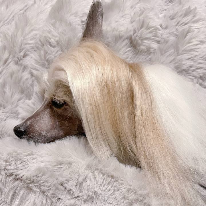 4bcf7ed9 ef16 49f2 b86c be456d53ebc9 1764322459378