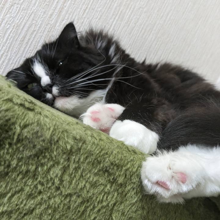 4bcfa042 0320 4ebb 96f7 203684528101 1717032164760