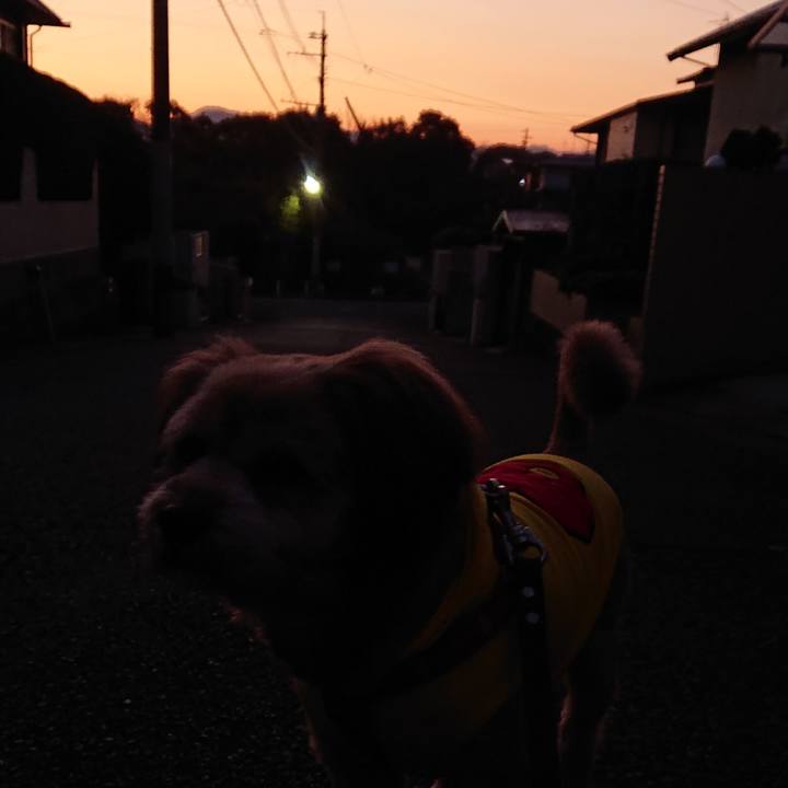 4bcff2a4 a545 41c1 8162 2b72ae62238e 1582237137516