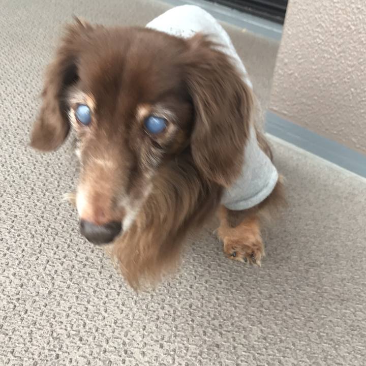 4bcff2f5 1e1d 4f94 952a 51fc625d2af6 1580097580446